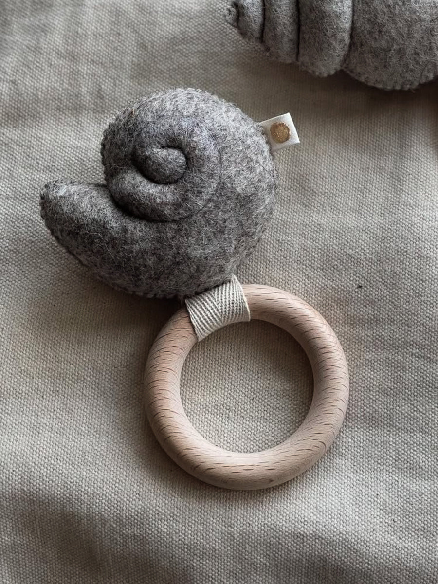 Rangle fra Filtkuglen - Grå kammusling