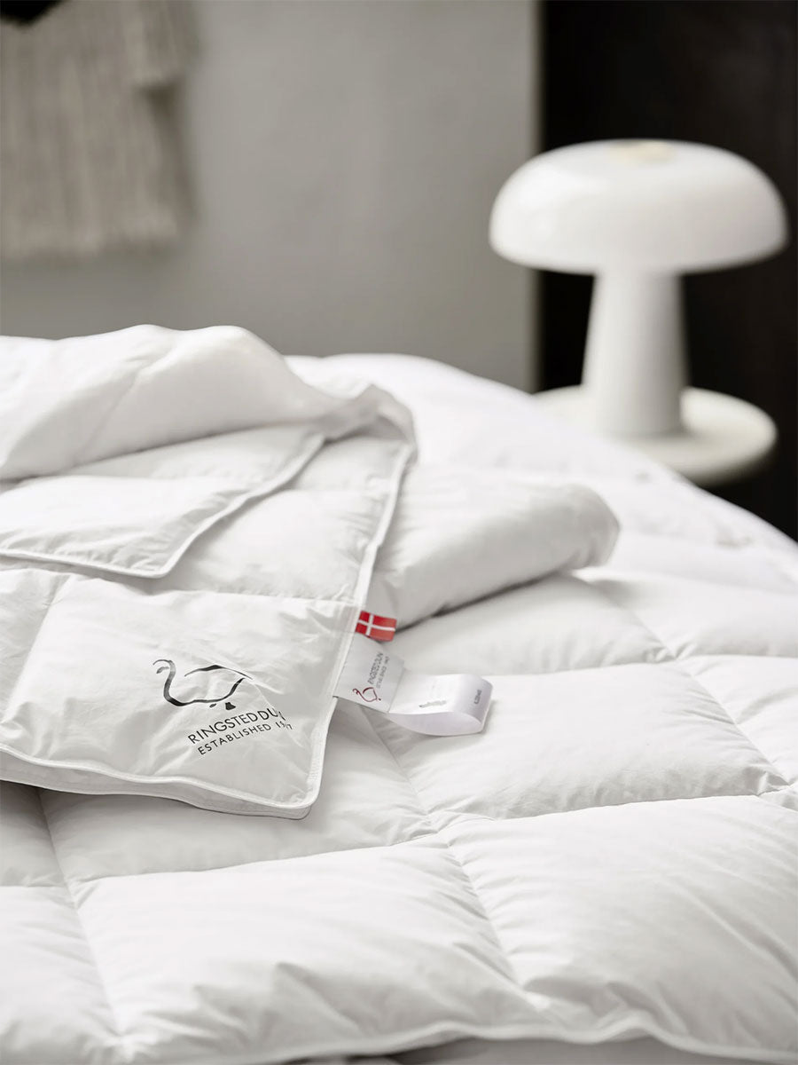 Voksendyne fra Ringsted Dun - Klodshans, Moskusdun