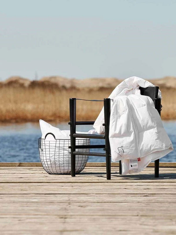 Klodshans dyne fra Ringsted Dun - Moskus dun