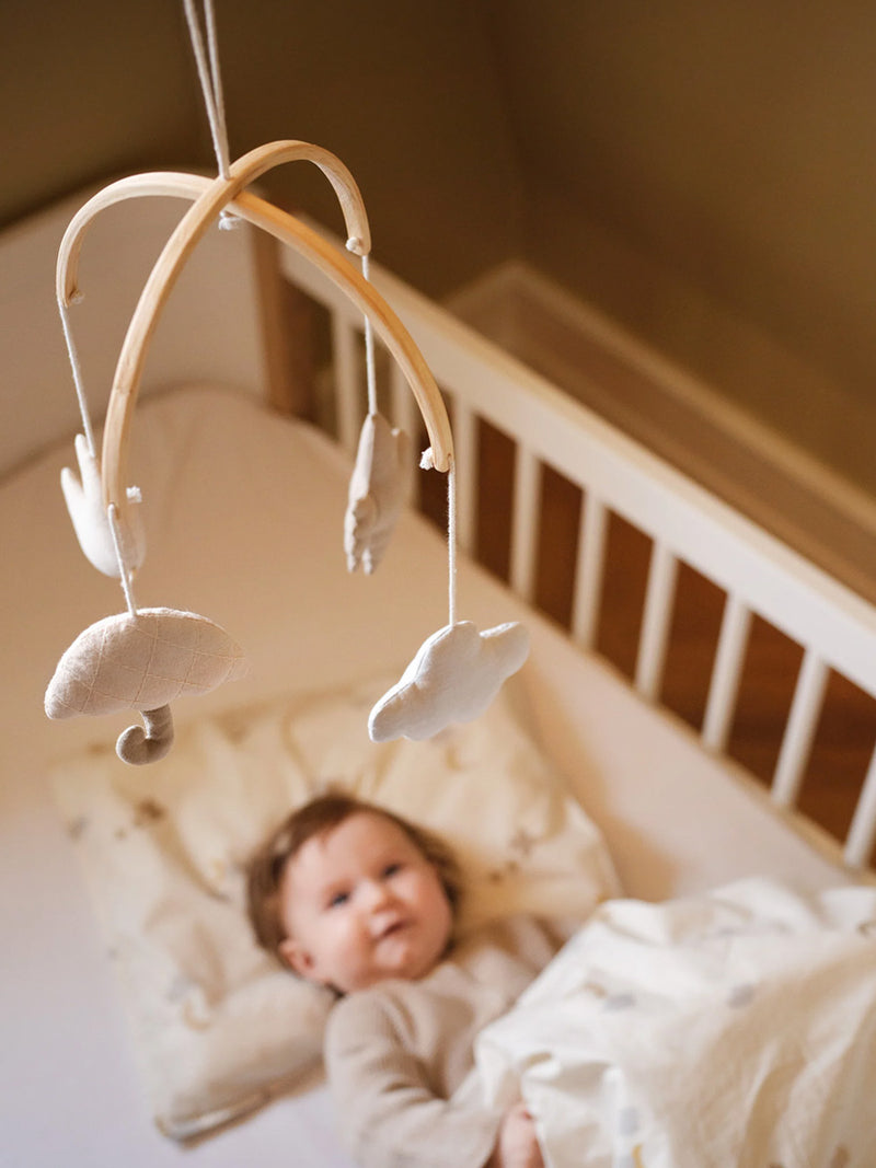 Uro fra Moonboon - Fugle.