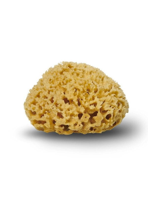 Natursvamp fra Cocoon Company - Honeycomb