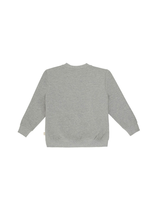 Soft Gallery sweatshirt grå